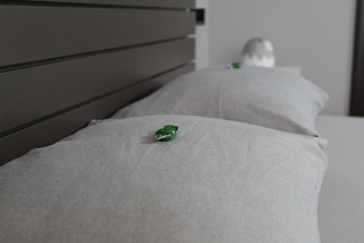 Apartman Daca Podgorica Extérieur photo